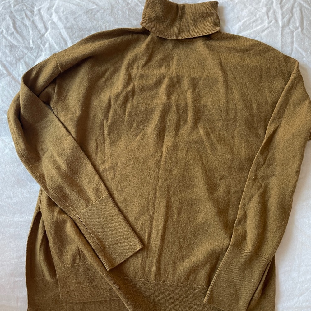 Babaton (Aritzia) turtleneck sweater